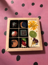 Afbeelding in Gallery-weergave laden, Combidoosje klein
