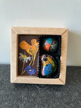 Afbeelding in Gallery-weergave laden, Combidoosje mini
