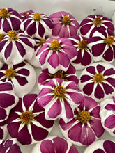 Afbeelding in Gallery-weergave laden, Bloemenmeringues
